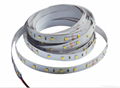 SMD5050 LED Strip Light 60LED/M 1