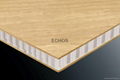 Wooden pp honeycomb sandwich panel 