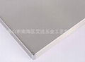 The color of stainless steel kitchen cabinet doors 1