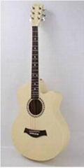 Acoustic guitar