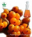 GMP Factory Supply Extract Oil