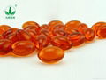 OEM Factory Provide Healthcare Food Seabuckthorn Oil Capsules 2