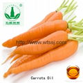 CO2 Supercritical Fluid Extraction Pure Natured Carrot Fruit Oil  2