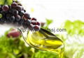 food grade oil Grape Seed Oil 4