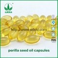 Supercritical Fluid Extract 100% Pure Perilla Seed Oil 4