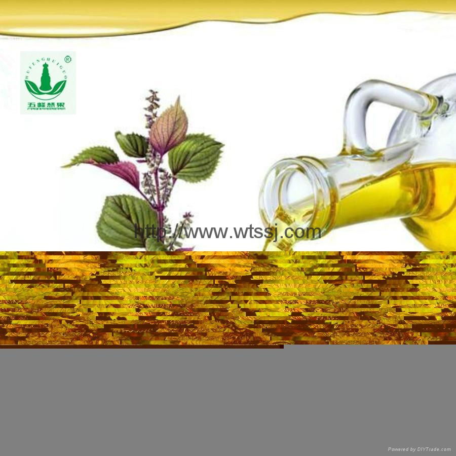 Supercritical Fluid Extract 100% Pure Perilla Seed Oil 3