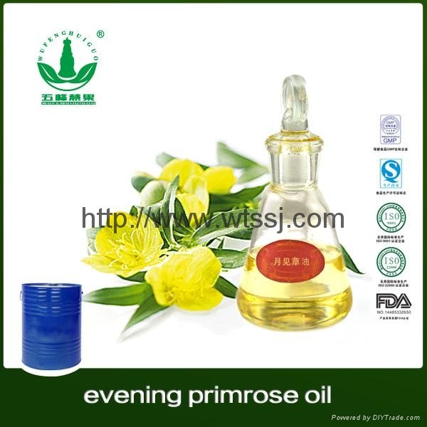 Evening Primrose Oil with Best Price 2