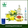 Evening Primrose Oil with Best Price 2