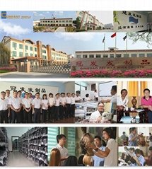 Qingdao Premier Wigs Co., Ltd