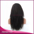 Wholesale 24 Inch Kinky Curly Virgin Brazilian Human Hair Wig 2