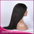 Wholesale Human Hair Wig Indian Remy Hair Lace Front Wig 1