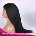 Wholesale Human Hair Wig Indian Remy Hair Lace Front Wig 3