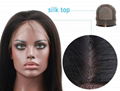 Virgin Brazilian Hair Glueless Silk Top Full Lace Wig 1