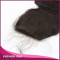 Virgin Malaysian Hair Silk Base Lace Closure 3