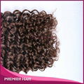 Brown Color 100% Indian Remy Human Hair 4