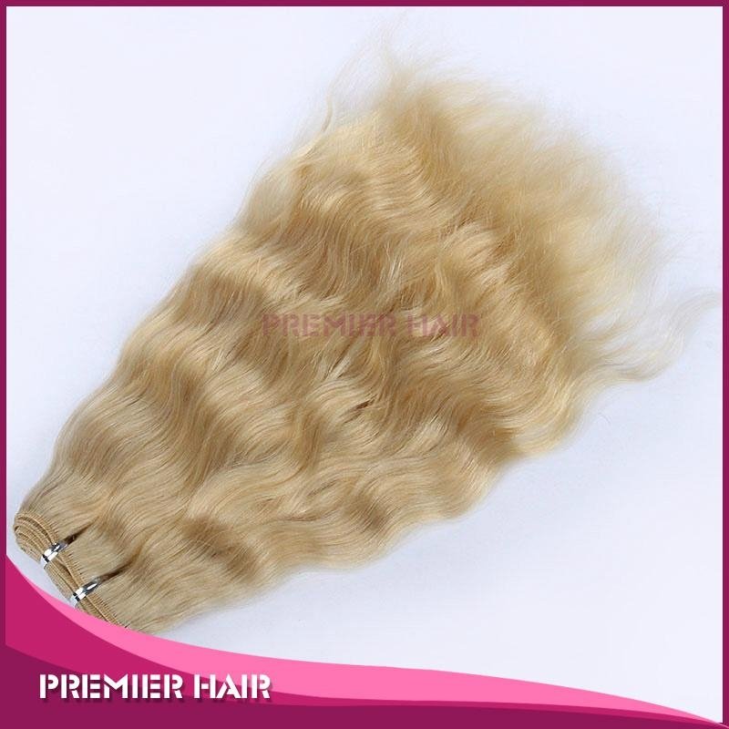 Factory Price  Blonde Color Virgin Remy Human Hair Malaysian Hair 2