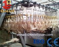 Stainless steel poultry slaughtering equipment 4