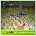 hot sale poultry Broiler poultry farming equipment 5