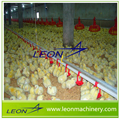 Poultry drinking system for chicken house  5