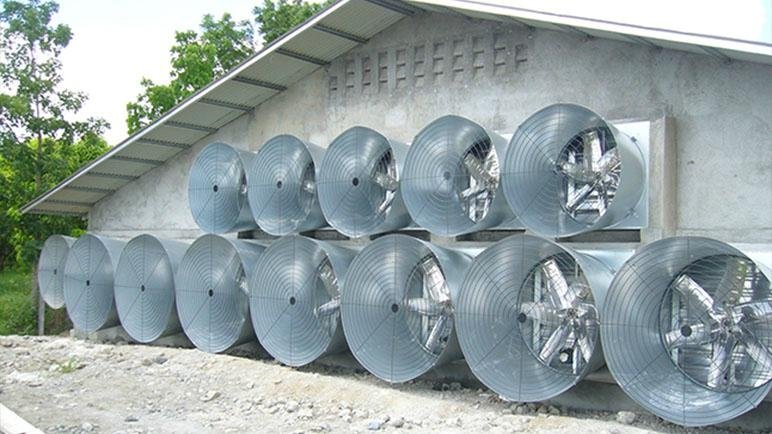 butterfly type cone fans for poultry house  4