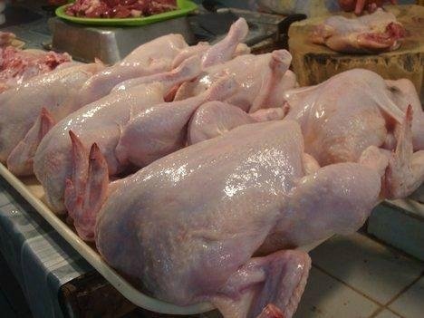 Frozen Halal Chicken, Chicken Wings, Chicken Feet