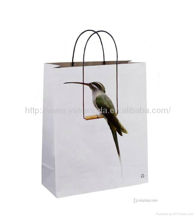 paper bags with twisted handle, cheap paper shopping bags 4