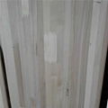 poplar with bamboo ski core board 1