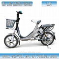 Lithium Electric Bicycle ML-LK 1