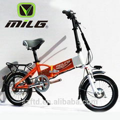 Lithium Electric Bicycle ML-ZDLD