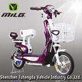 Electric Bicycle ML-ZGM 1