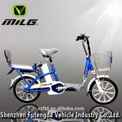 Electric Bicycle ML-LD-III