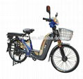 Electric Bicycle ML-BLW 1