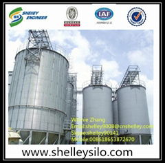 Feed Mills Used Grain Silo For Corn Bran Storage