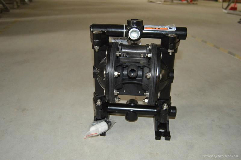 Automatic feed pump