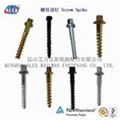 rail fastener screw spike