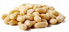 Pine nuts