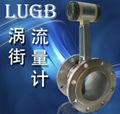 LUGB-DN50壓縮空氣流量計 5