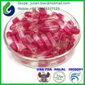 Halal empty gelatin capsules size 00,0,1