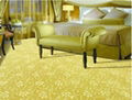 Luxury Living Room Carpet