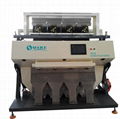 Beans color sorter with good quality and