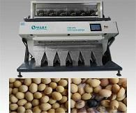Soybean color sorter for beans sorting