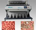 Good quality peanut color sorter