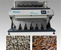 sunflower seeds sorter 1