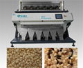 Intelligent CCD sesame color sorter