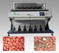 High quality CCD color sorter in China 1