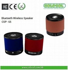 Blueteeth Wireless Speaker