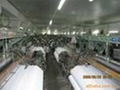   TC bleached fabric 96*72 for pocketing 4