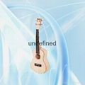 ZYY59 2015 newGuitar ukulele violin