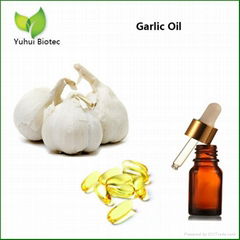 Garlic oil