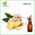 ginger oil,ginger oil price,ginger